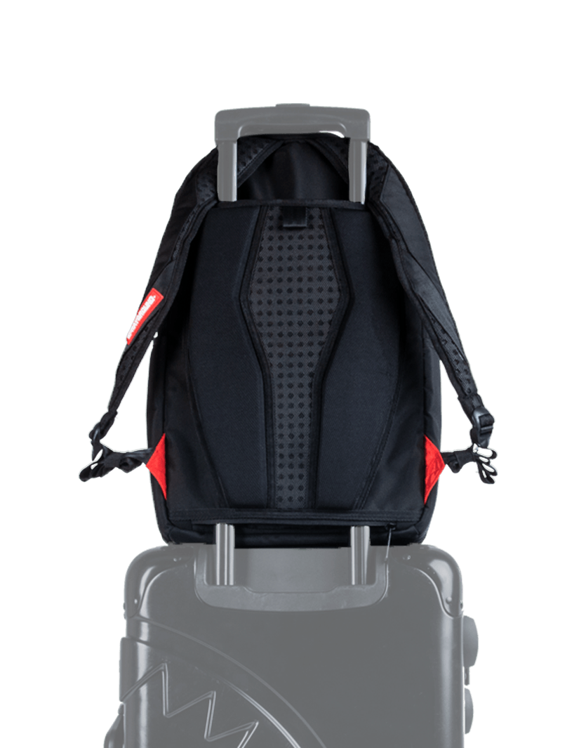 Paris vs Florence Shark - Image 9