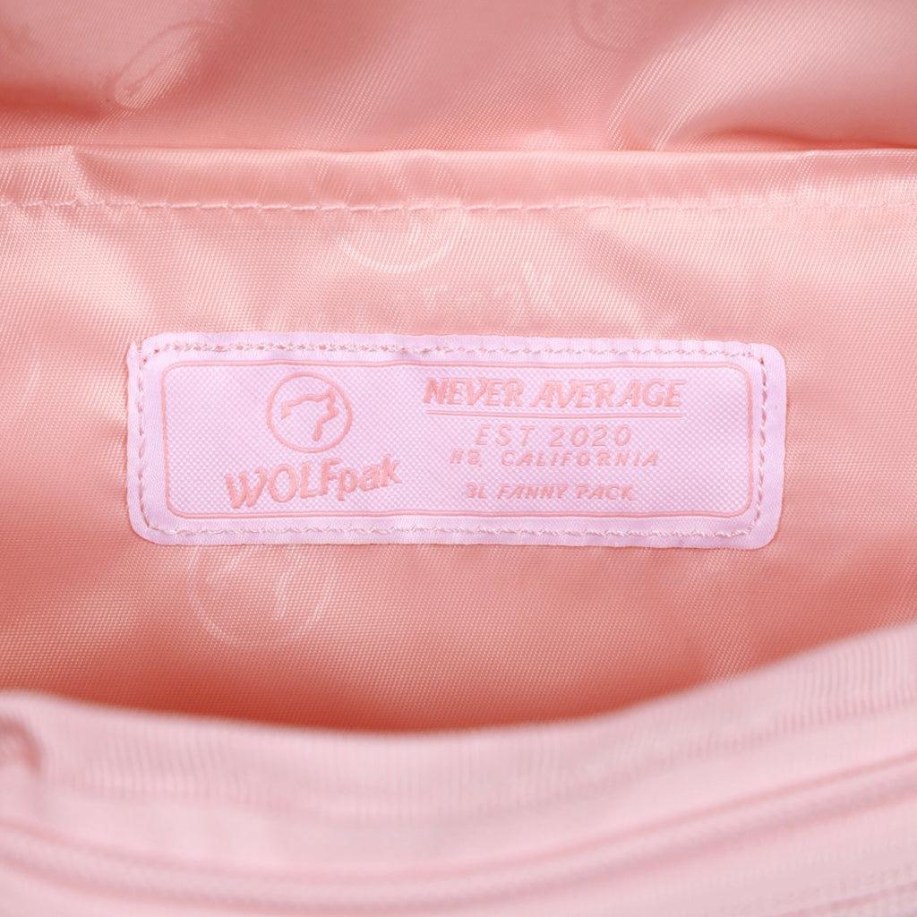 Fanny Pack The Dream Is Real - Image 10