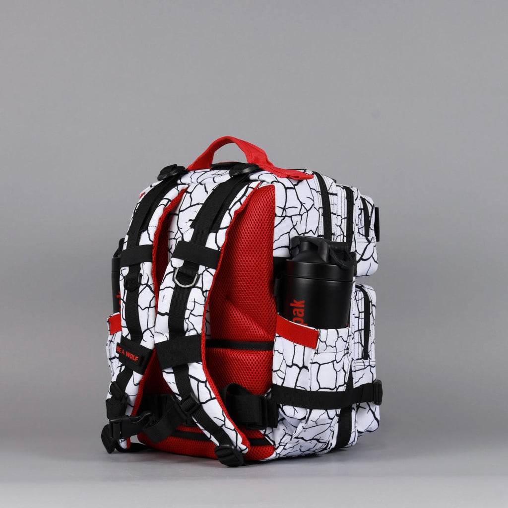 25L Backpack Part 3: The Ruin - Image 6