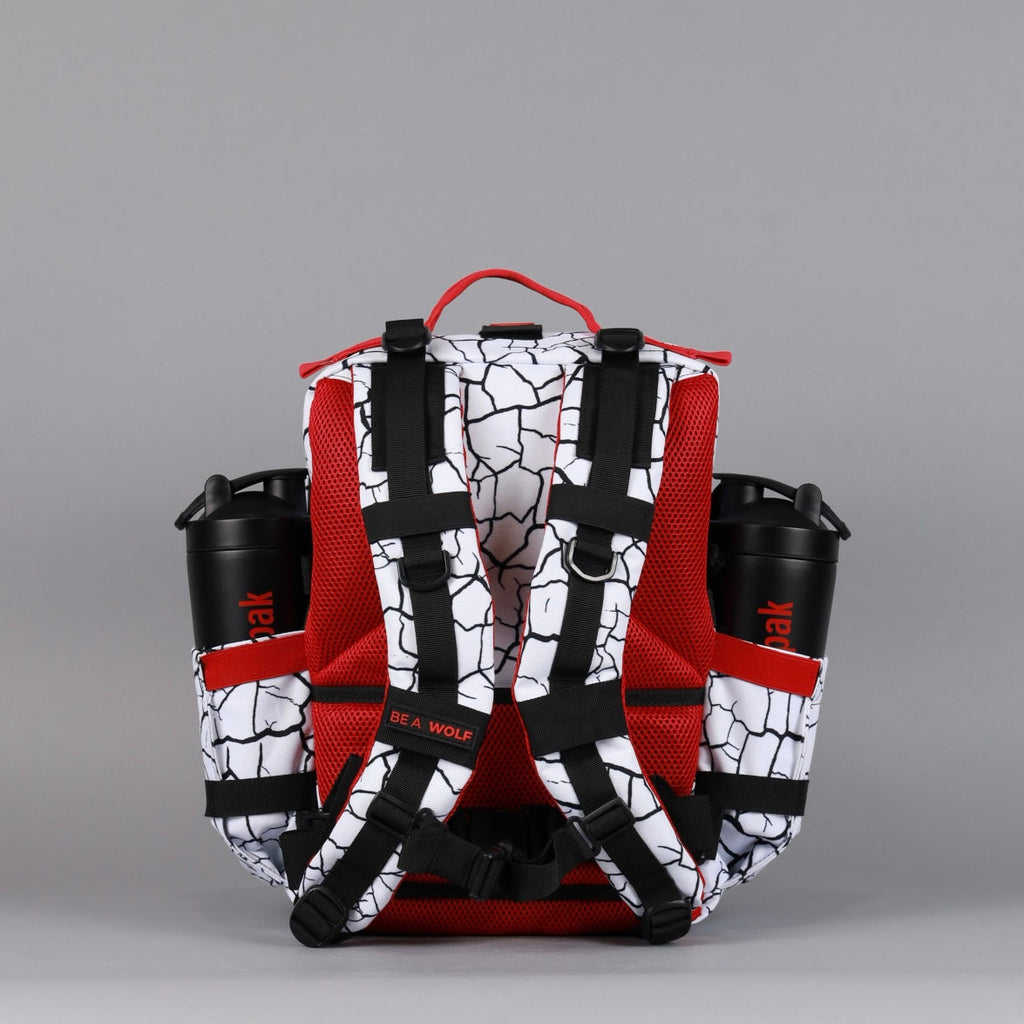 25L Backpack Part 3: The Ruin - Image 7