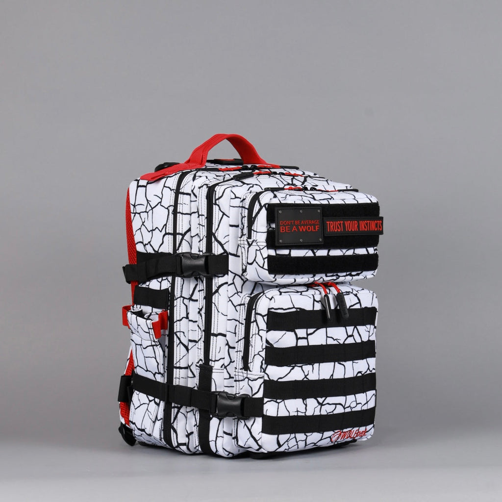 25L Backpack Part 3: The Ruin - Image 9
