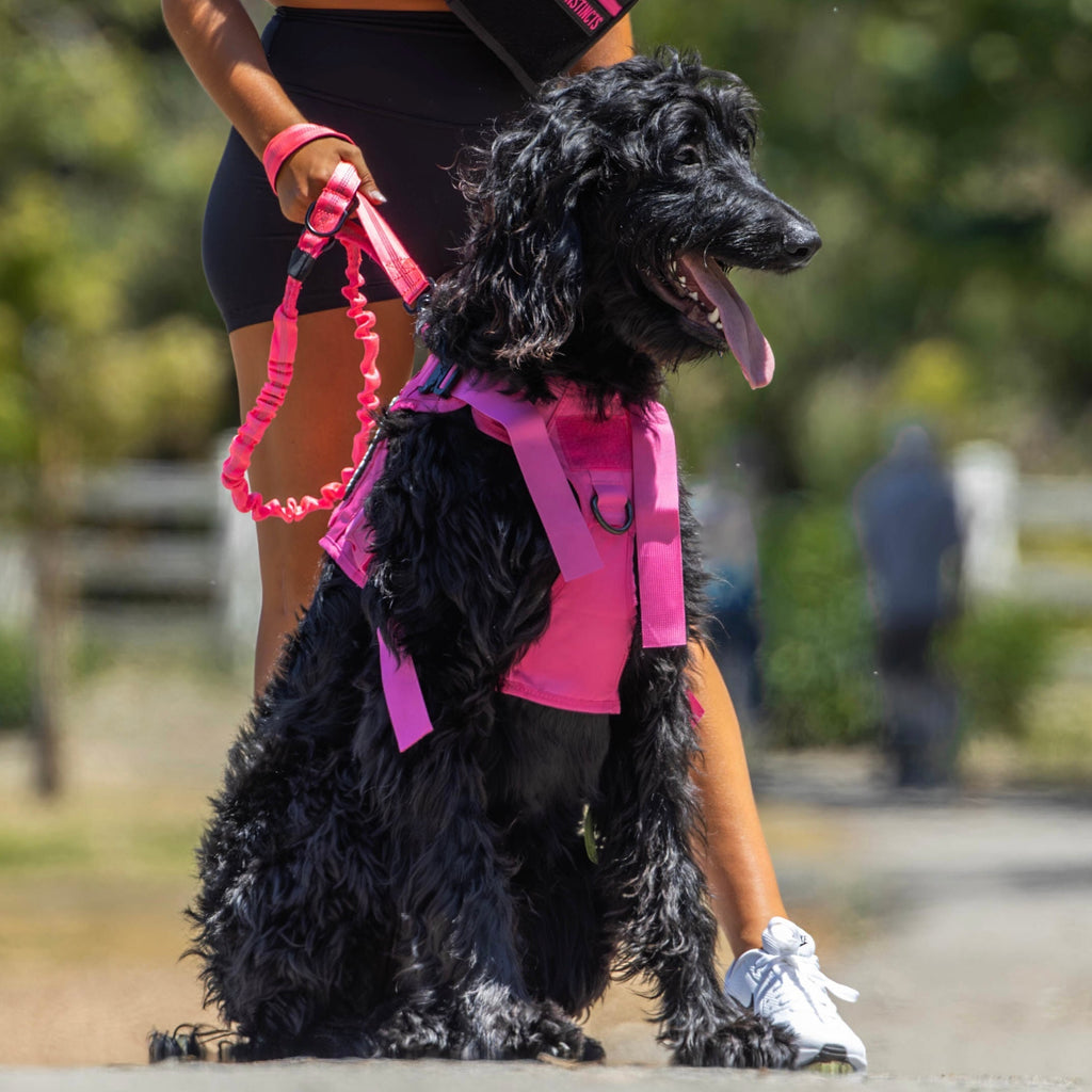 Neon Pink Tactical Dog Vest Harness - Image 4