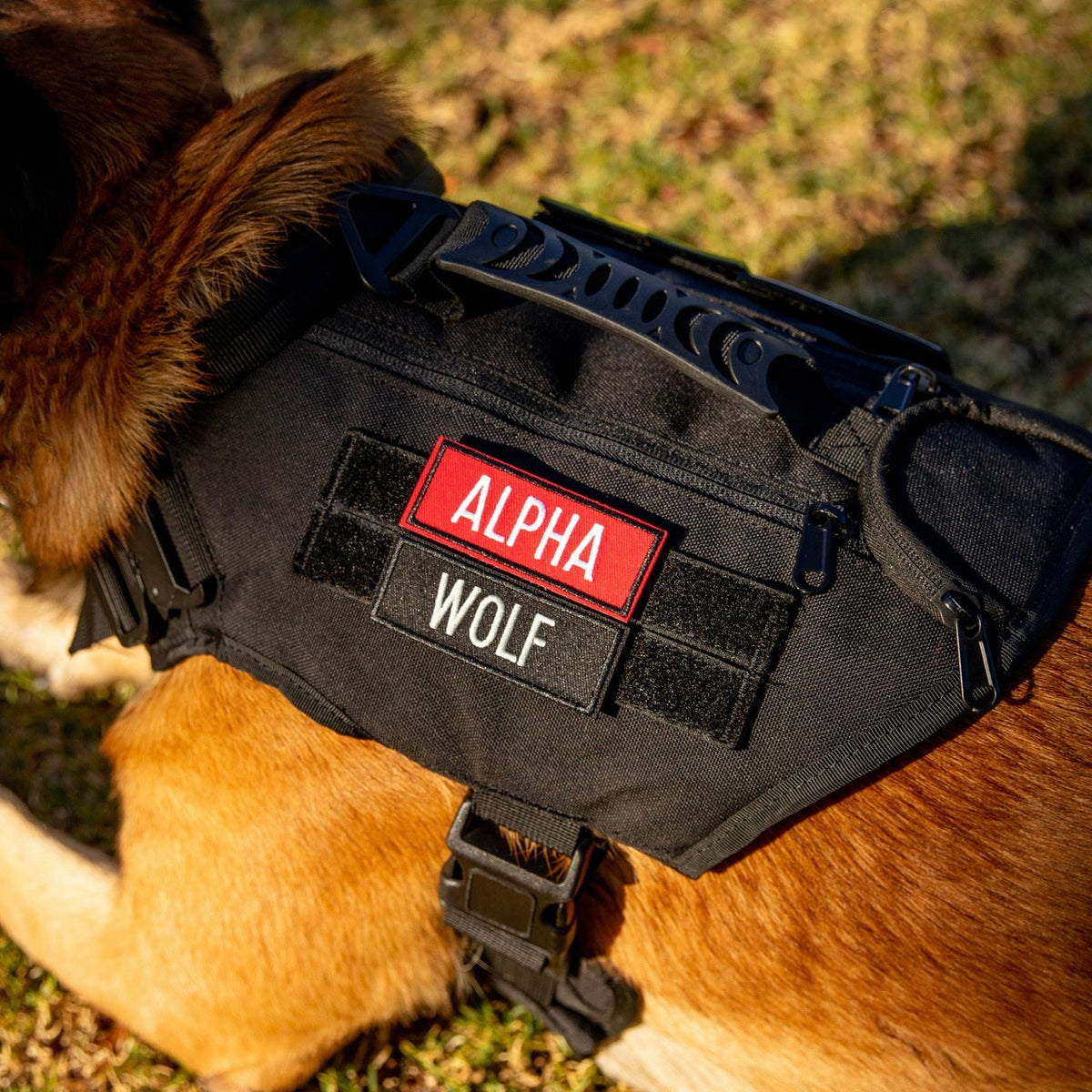 Alpha Black Tactical Dog Vest Harness - Image 4