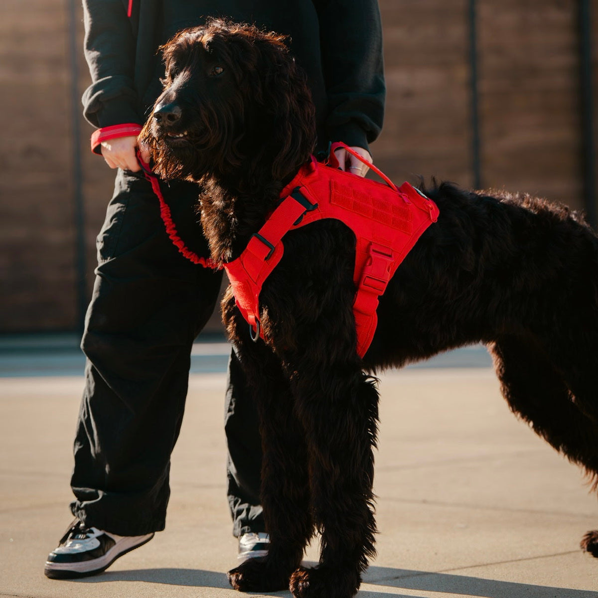 Elite Red Tactical Dog Vest Harness - Image 4