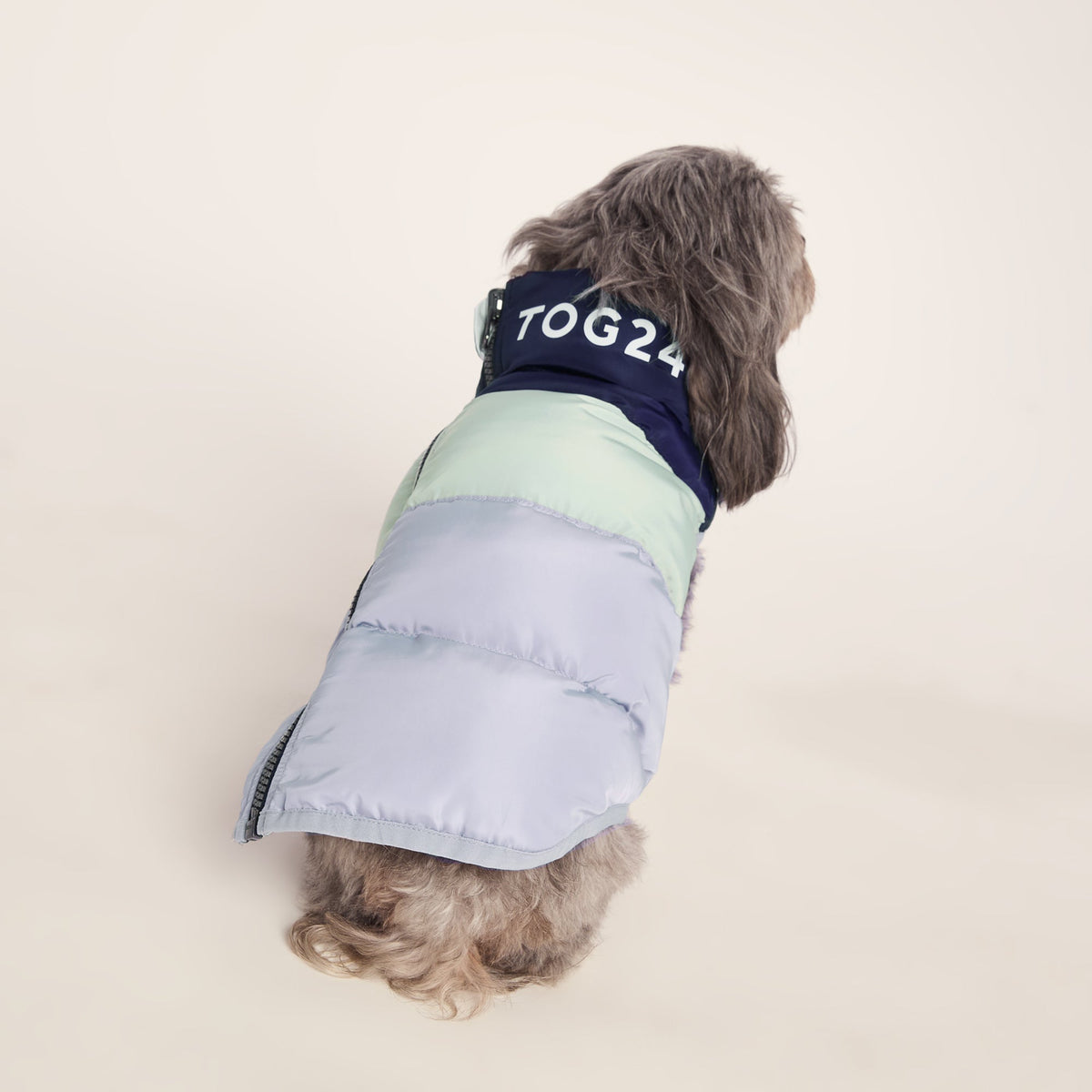Fetch Padded Dog Coat XS - Oxford Blue/Light Mist/Lavender Grey - Image 2