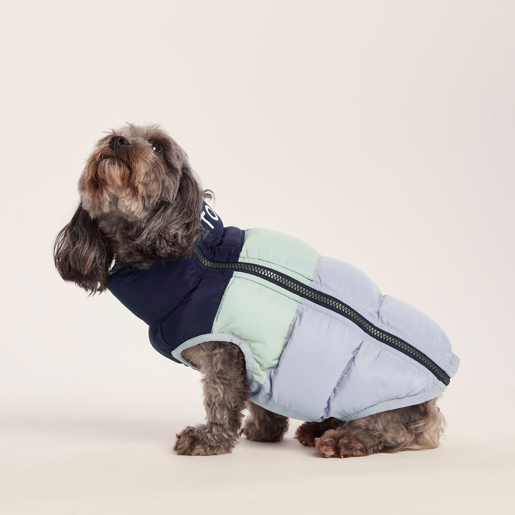 Fetch Padded Dog Coat XS - Oxford Blue/Light Mist/Lavender Grey - Image 3