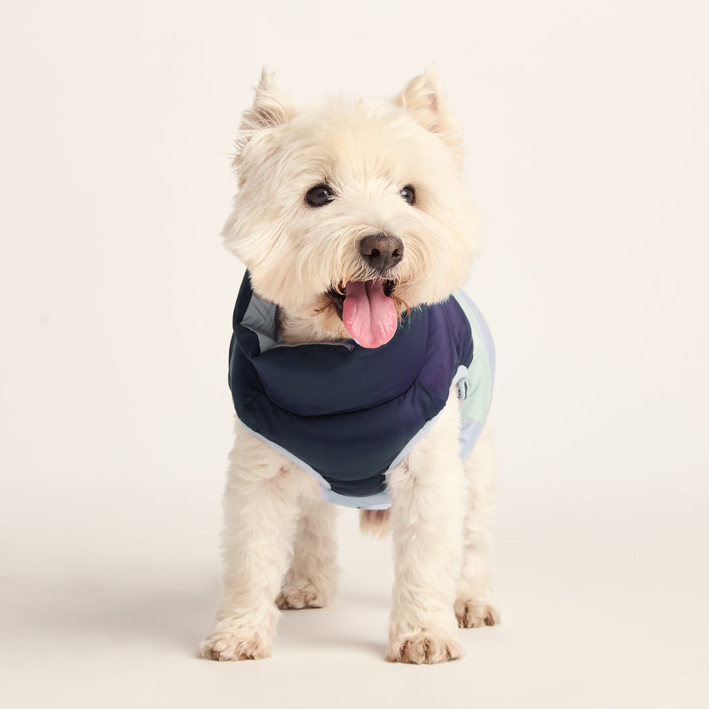 Fetch Padded Dog Coat S - Oxford Blue/Light Mist/Lavender Grey - Image 3