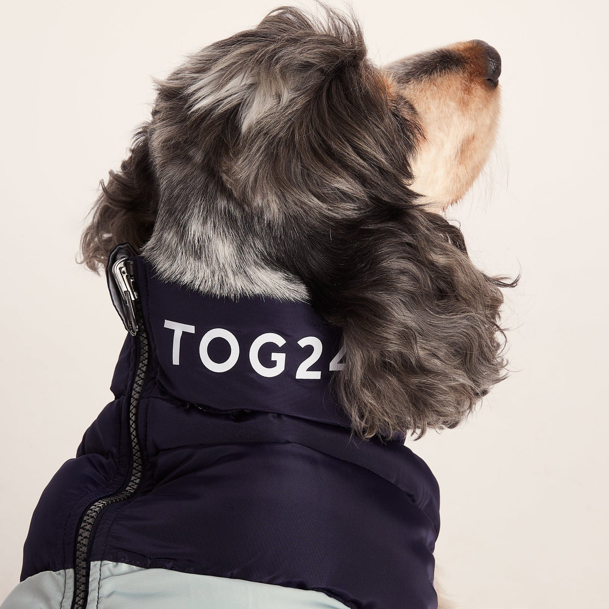 Fetch Padded Dog Coat M - Oxford Blue/Light Mist/Lavender Grey - Image 3