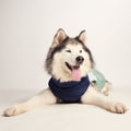 Fetch Padded Dog Coat L - Oxford Blue/Light Mist/Lavender Grey