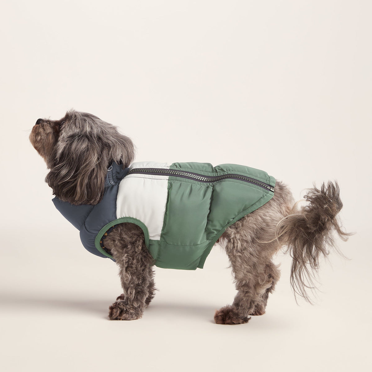 Fetch Padded Dog Coat XS - Dark Indigo/Vanilla/Light Forest - Image 3
