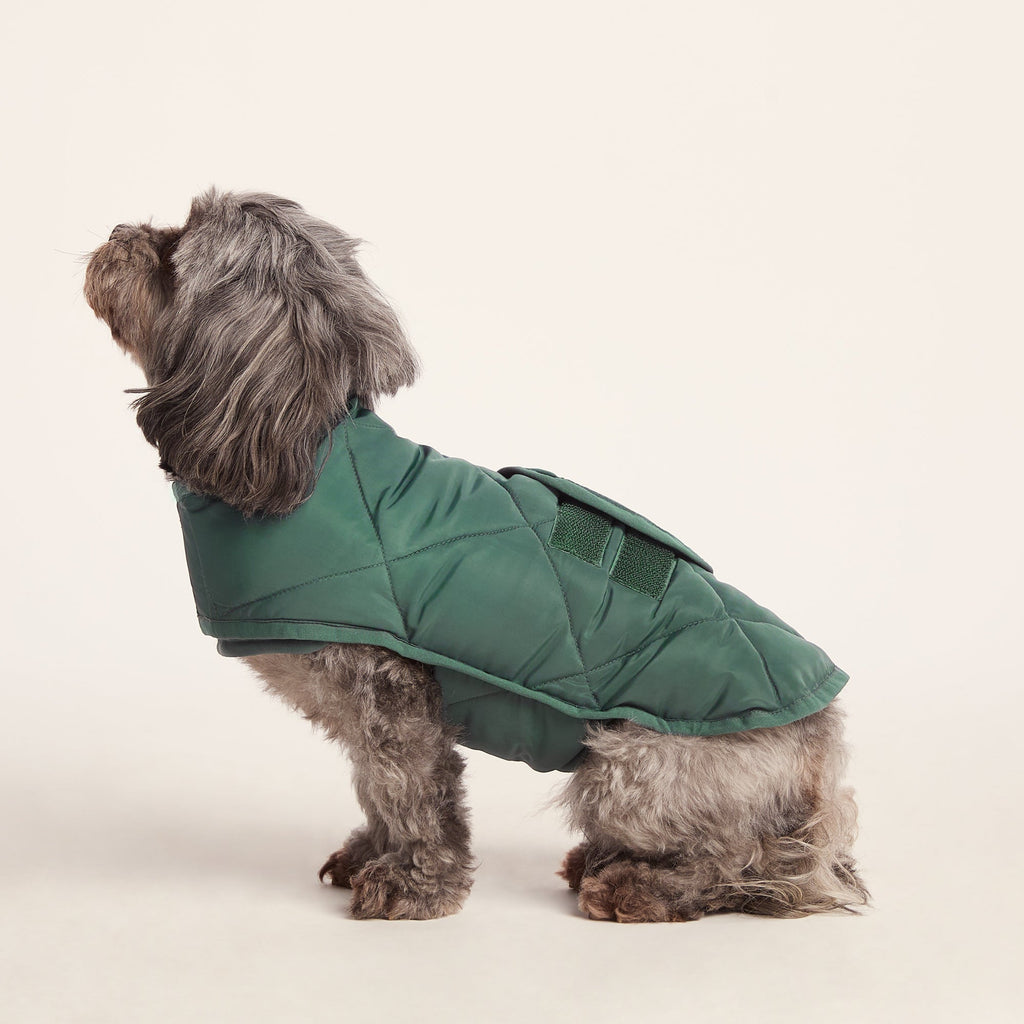 Fido Padded Dog Coat XS - Racing Green - Image 3