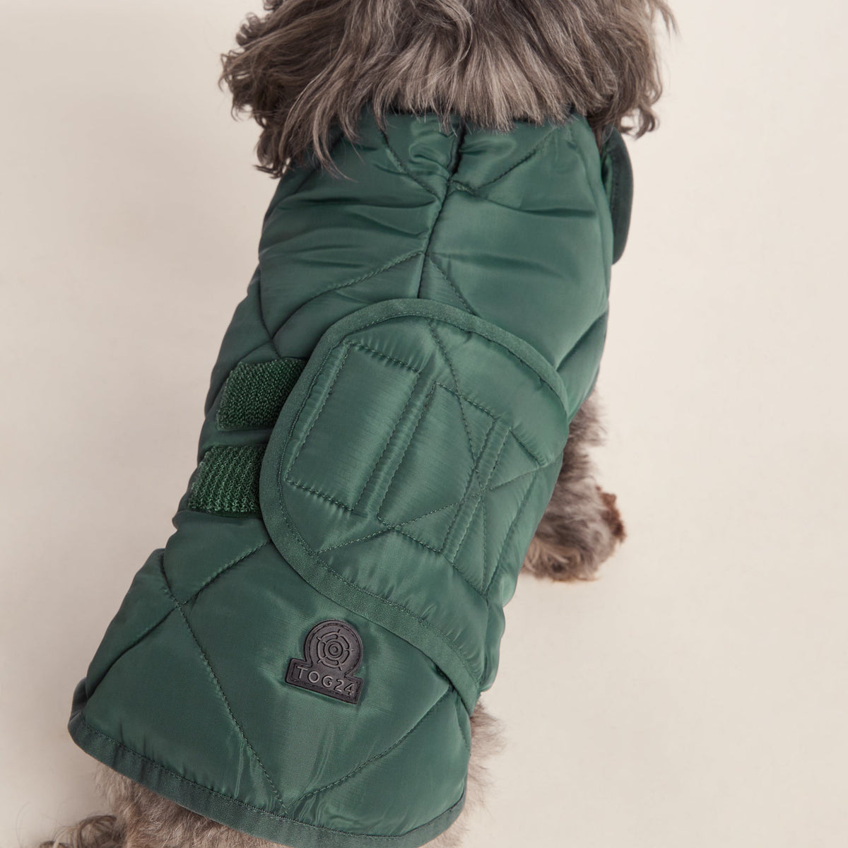 Fido Padded Dog Coat XS - Racing Green - Image 5