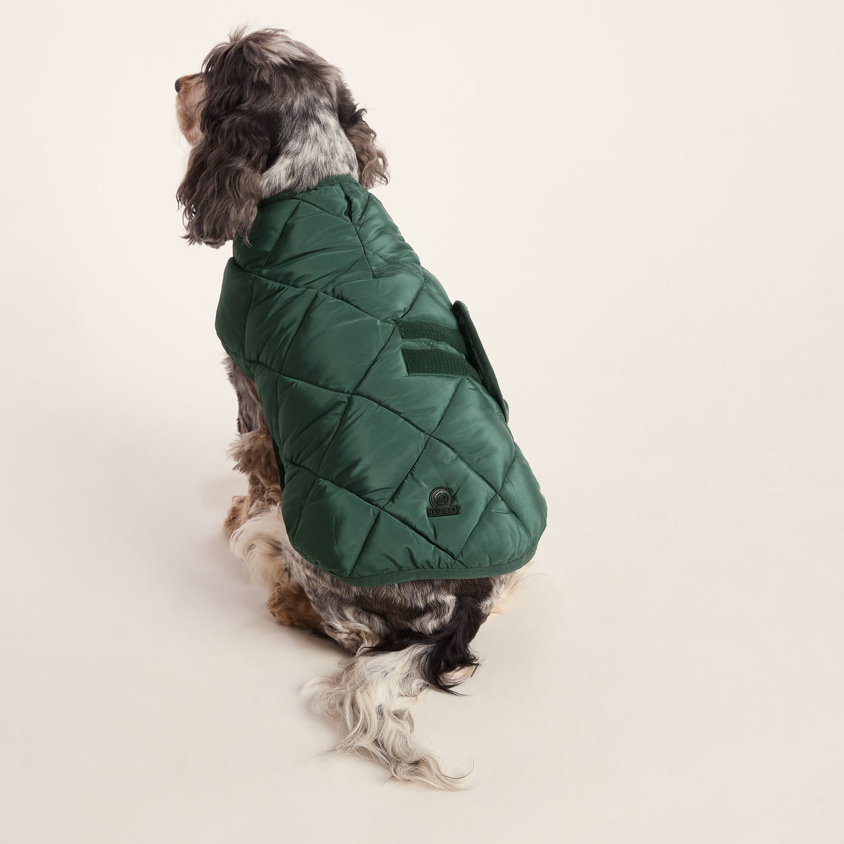 Fido Padded Dog Coat M - Racing Green - Image 2