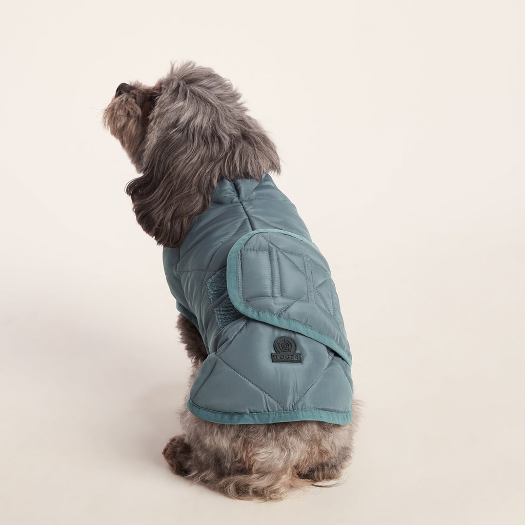 Fido Padded Dog Coat XS - Graphite - Image 2