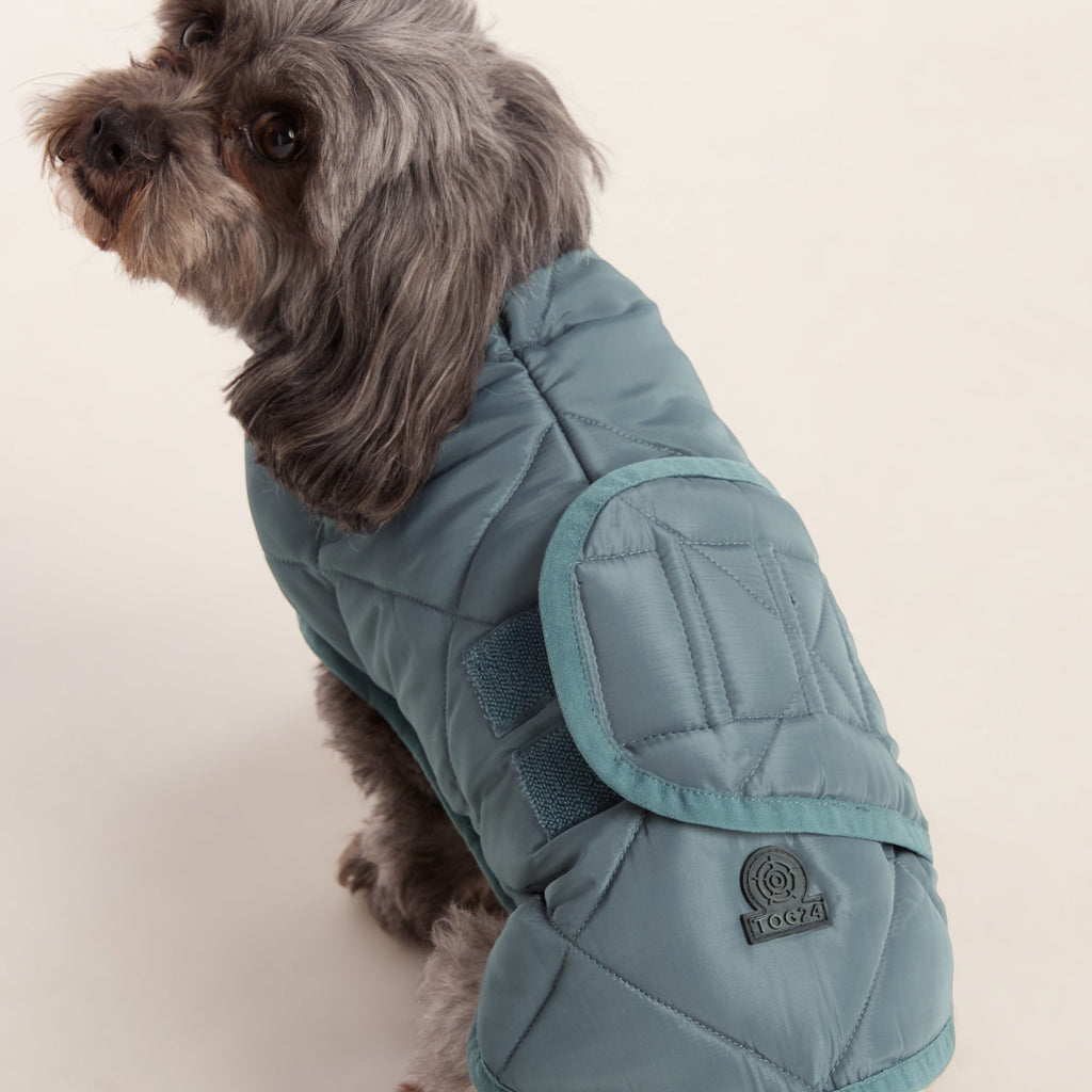 Fido Padded Dog Coat XS - Graphite - Image 4