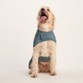 Fido Padded Dog Coat XL - Graphite