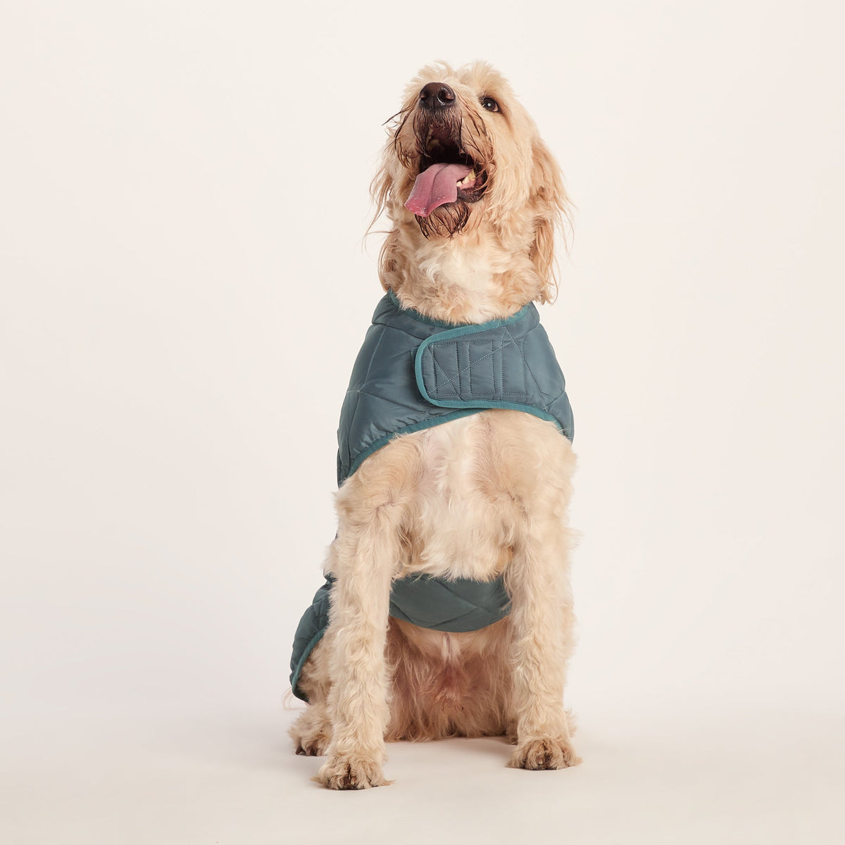 Fido Padded Dog Coat XL - Graphite