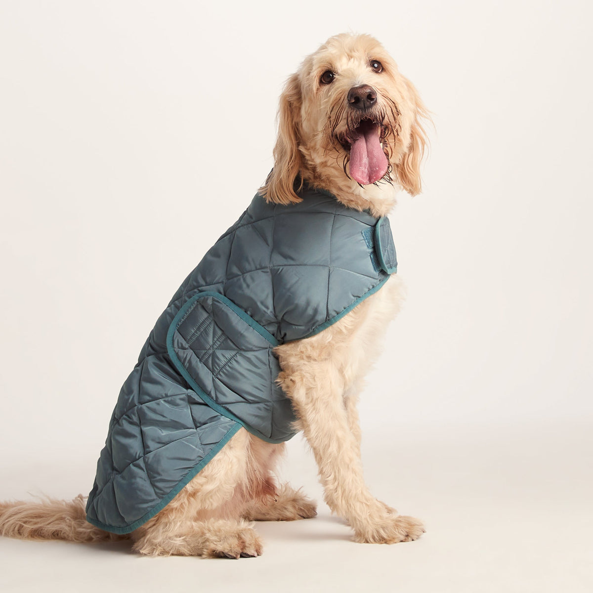 Fido Padded Dog Coat XL - Graphite - Image 4