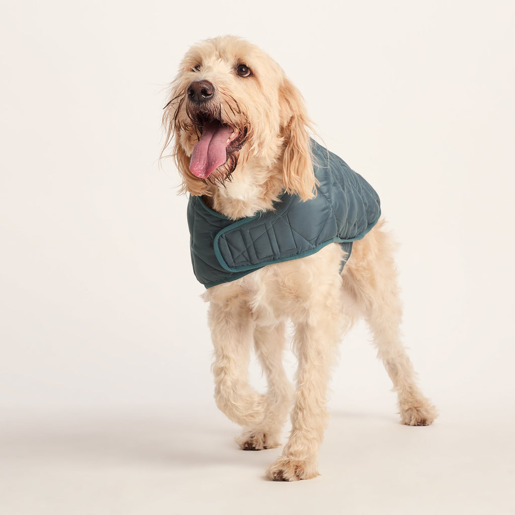 Fido Padded Dog Coat XL - Graphite - Image 5