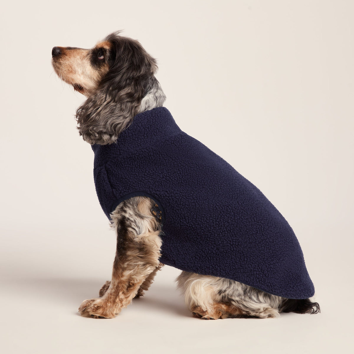 Rover Sherpa Dog Coat M - Oxford Blue - Image 3