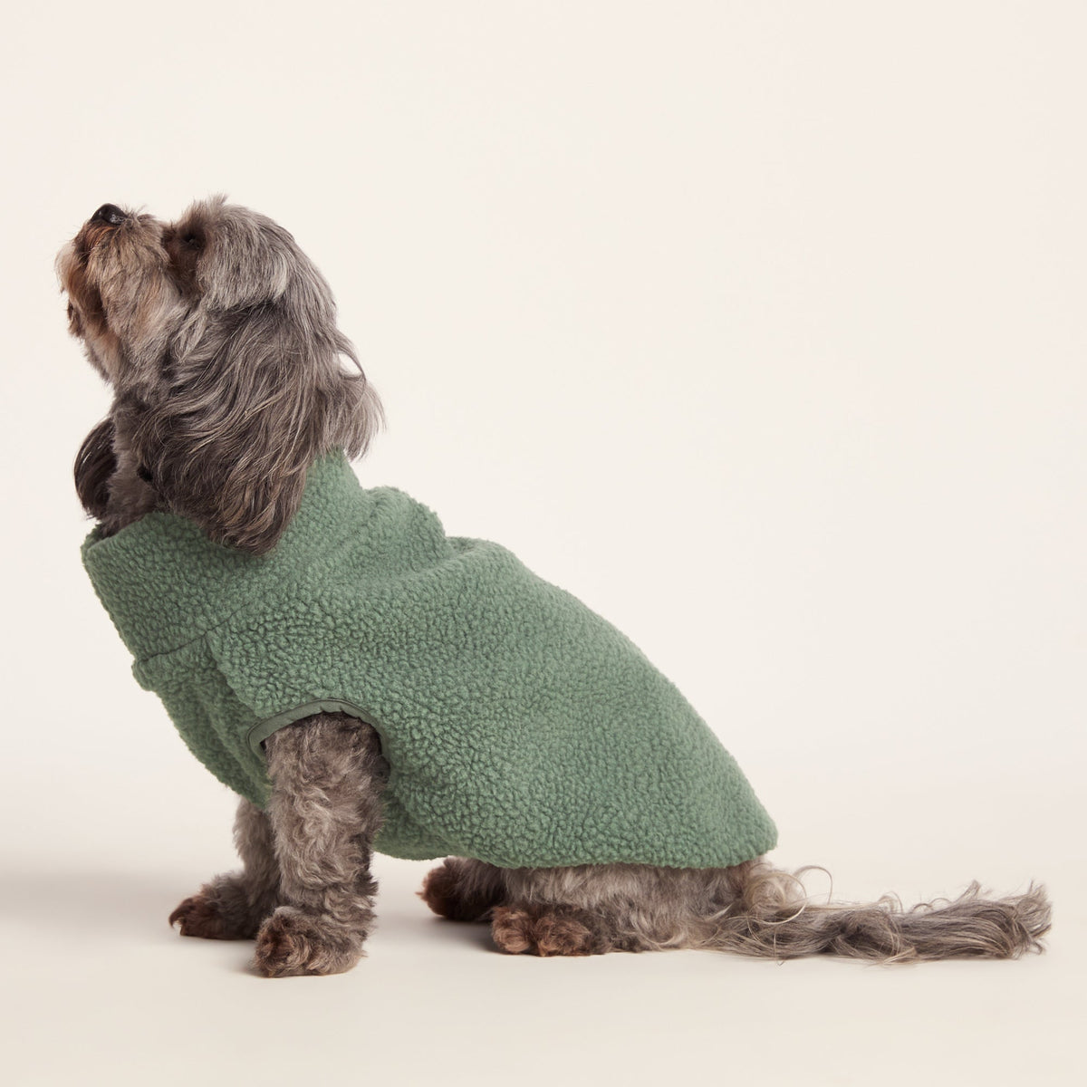 Rover Sherpa Dog Coat XS - Light Forest - Image 4