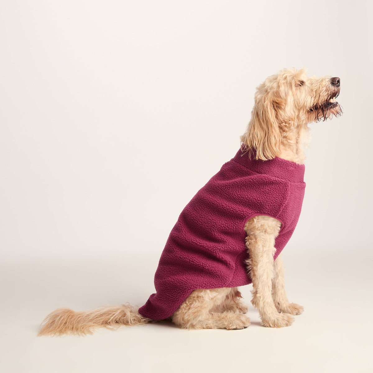 Rover Sherpa Dog Coat XL - Washed Burgundy - Image 4
