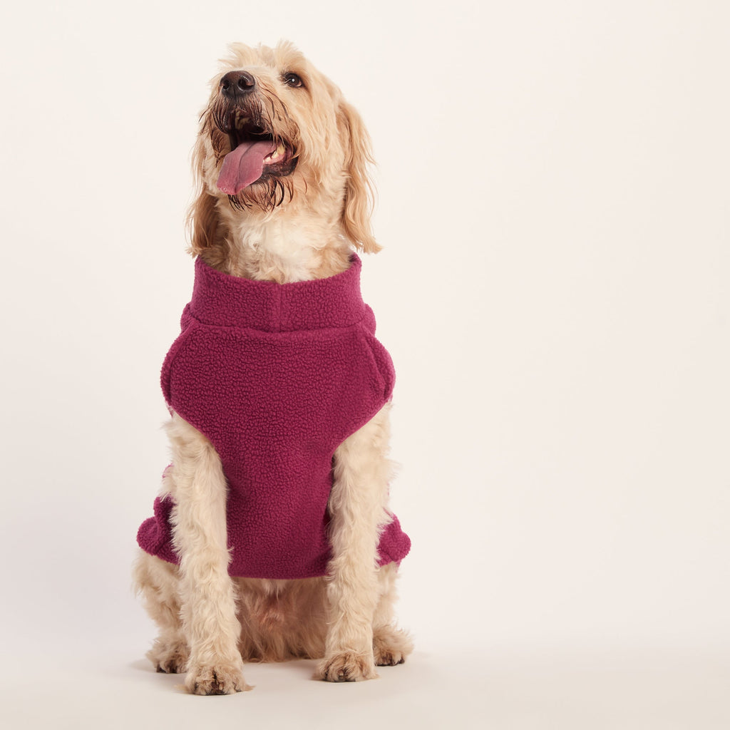 Rover Sherpa Dog Coat XL - Washed Burgundy - Image 6