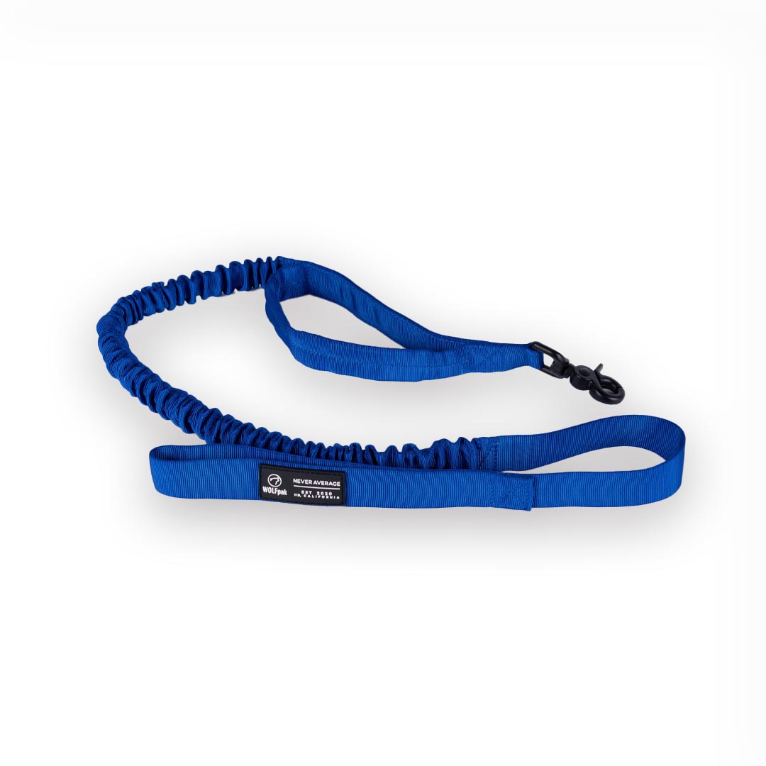 Tactical Nylon Leash Blue