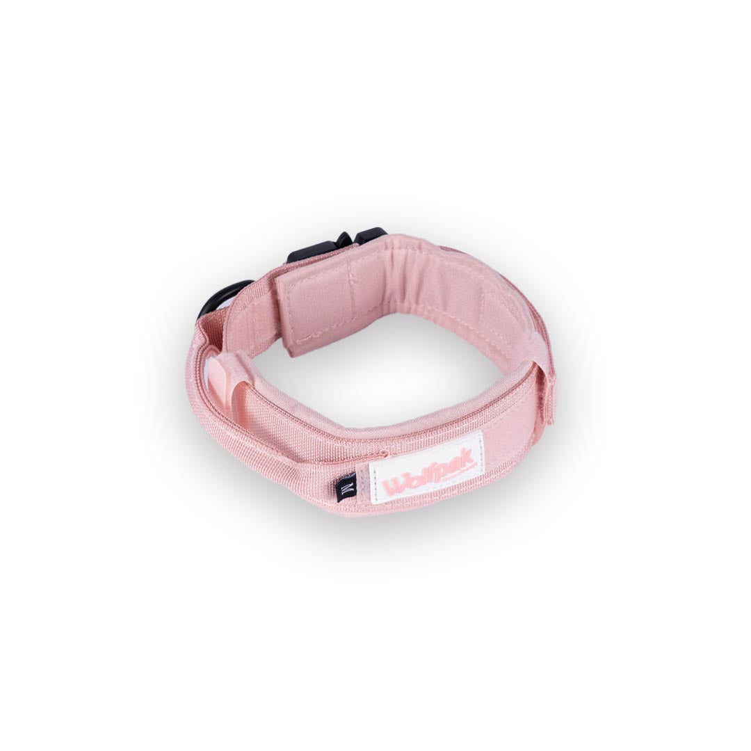 Tactical Nylon Dog Collar Dream Pink - Image 2