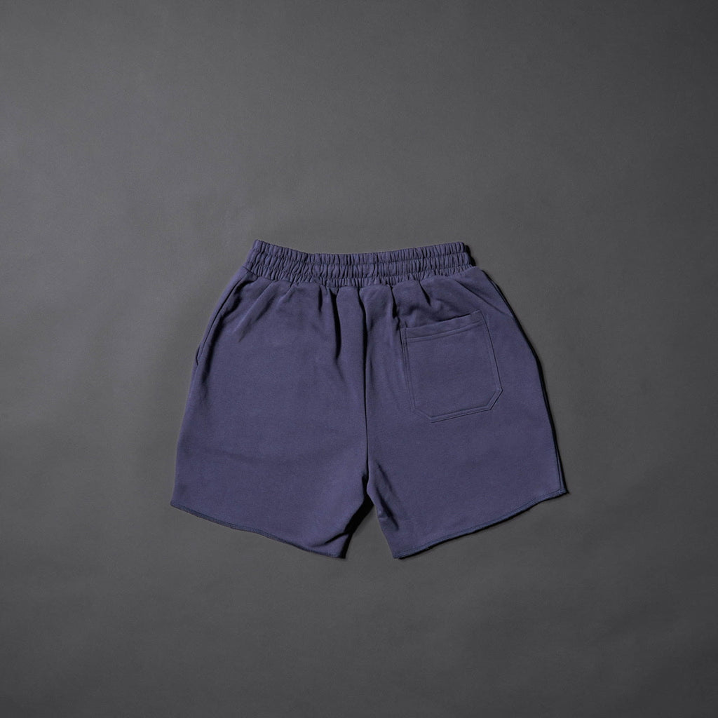 Men's Varsity Shorts Varsity Blue - Image 7
