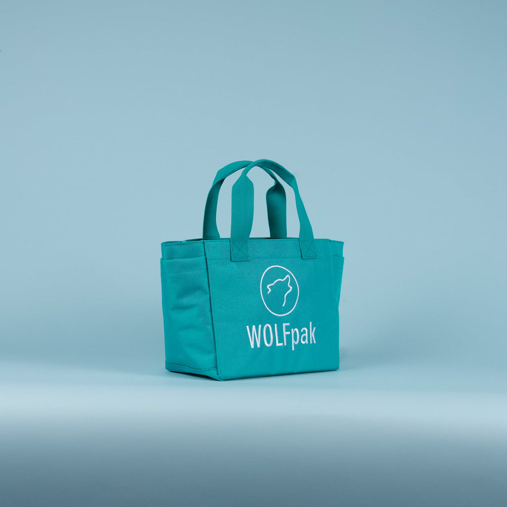 Mini Tote Bag Aqua Goddess - Image 3