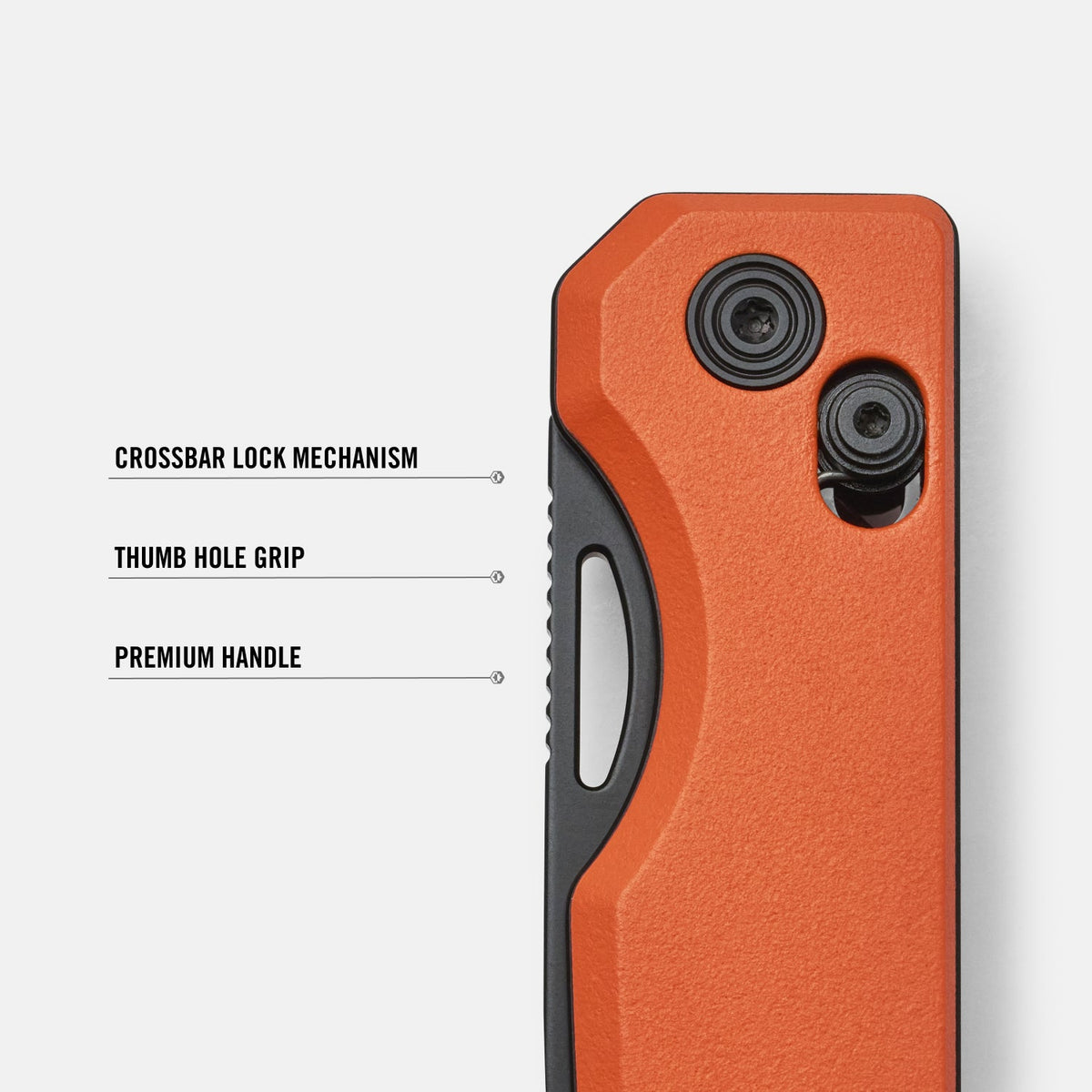Everyday Folder - Traditional Flash - Image 9