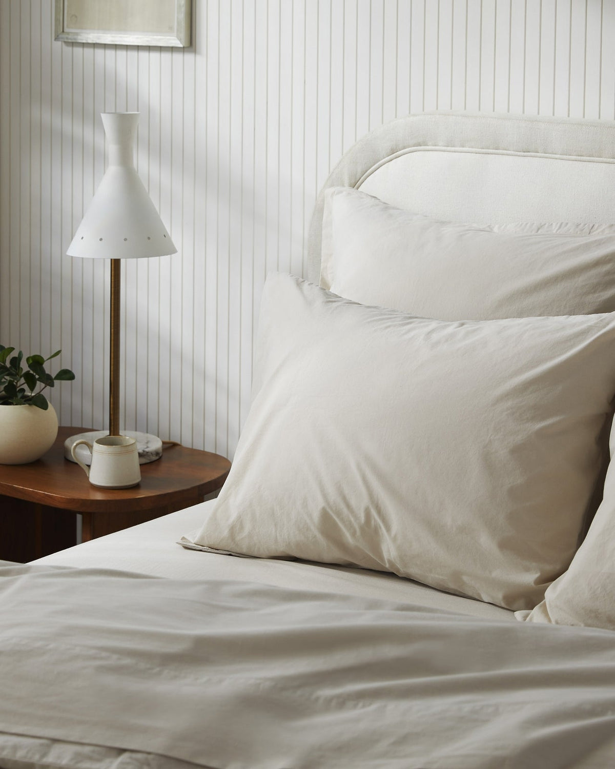 Brushed Cotton Venice Set - Bone TW/XL - Image 2