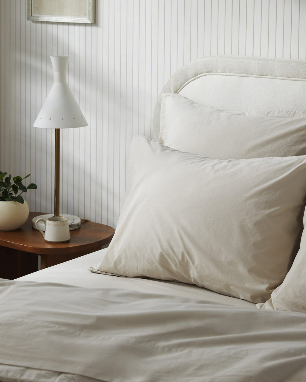 Brushed Cotton Venice Set - Bone F/Q - Image 2