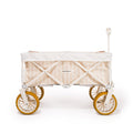 The Beach Cart
