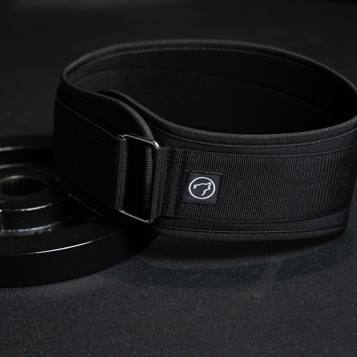 Lifting Belt - Image 5