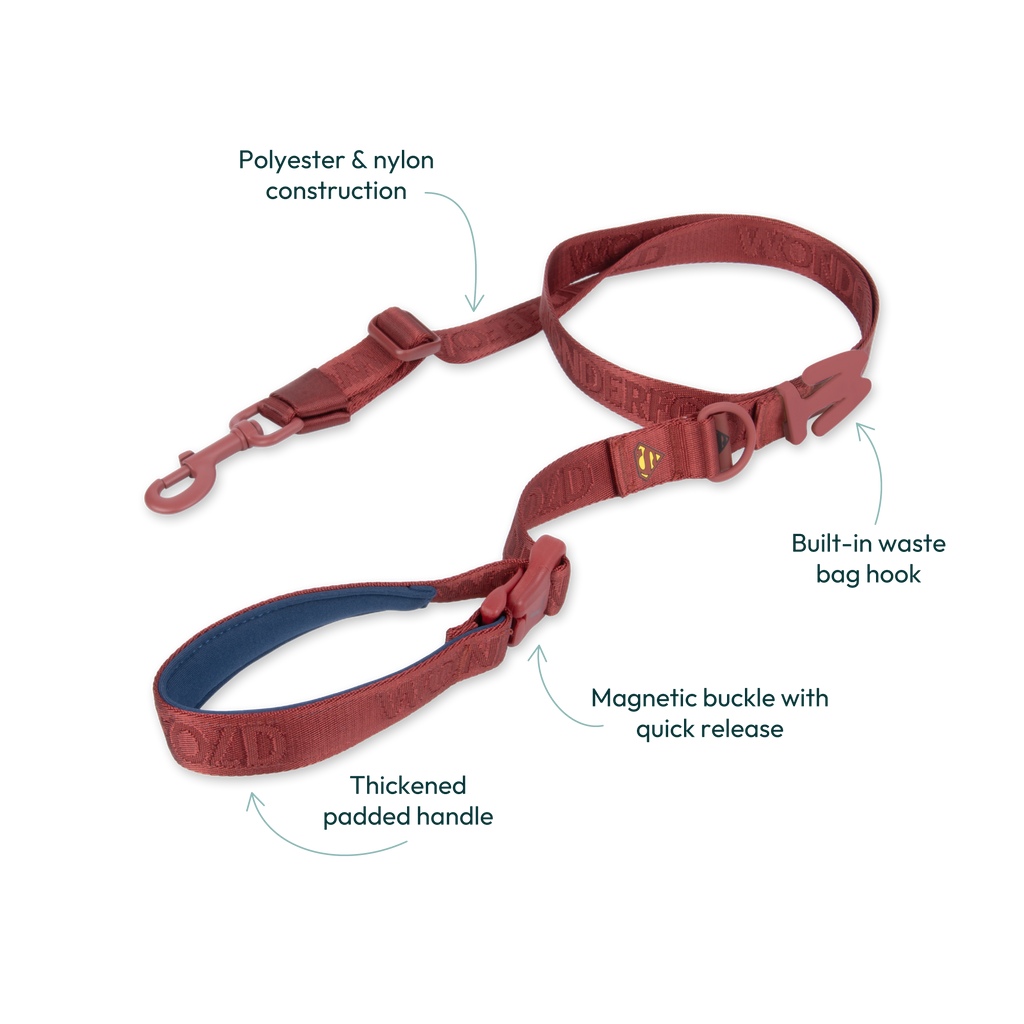 WonderFold Superman Pet Leash - Image 3
